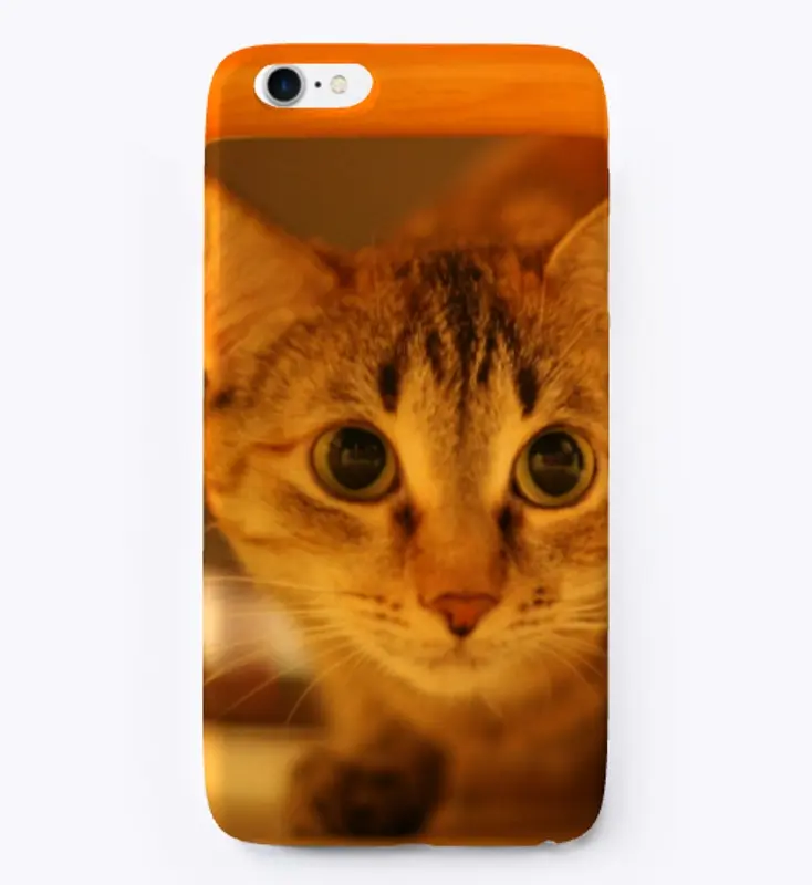 Curious Cat Phone Case